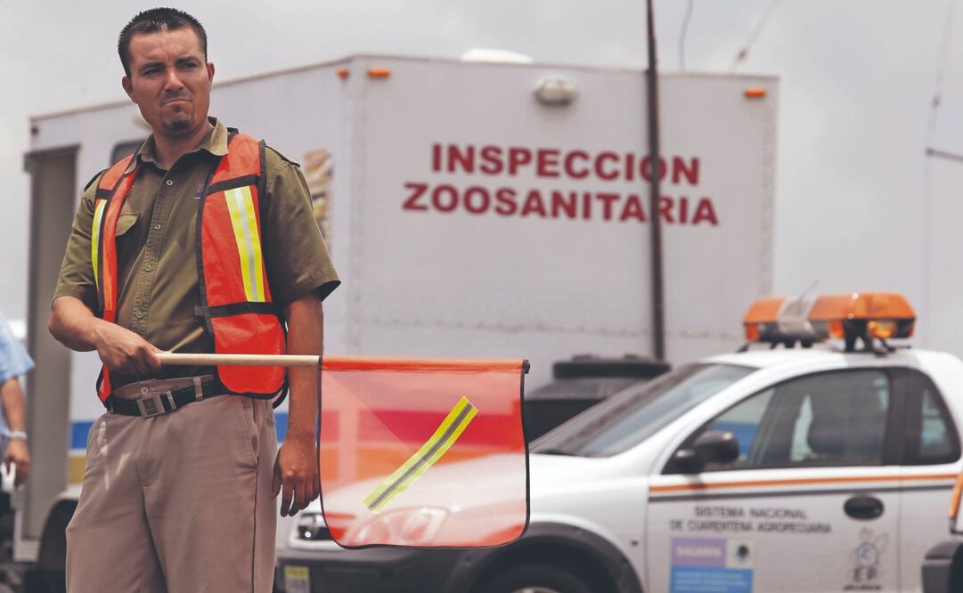 Los controles sanitarios que coordinaba el Senasica se vieron impactados por las reducciones presupuestales en el sexenio anterior. Foto: de ULISES RUIZ. ARCHIVO EFE