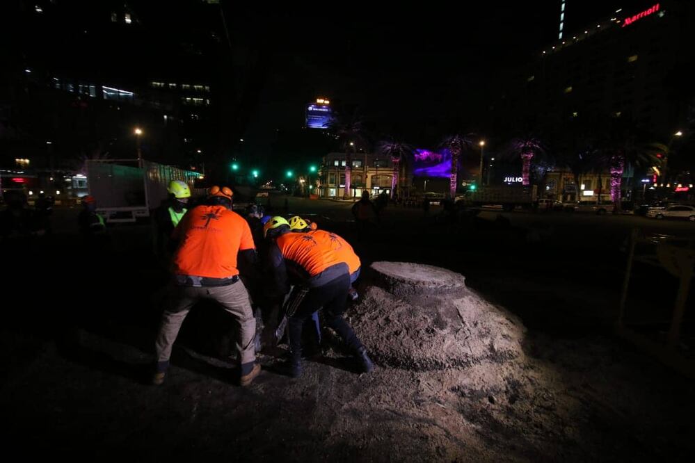 El retiró de la palma terminó alrededor de las 03:00 horas de la madrugada de este lunes. Foto: Carlos Mejía EL UNIVERSAL
