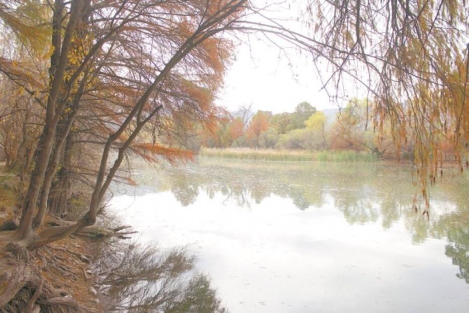 Daño renal afecta a Comarca Lagunera