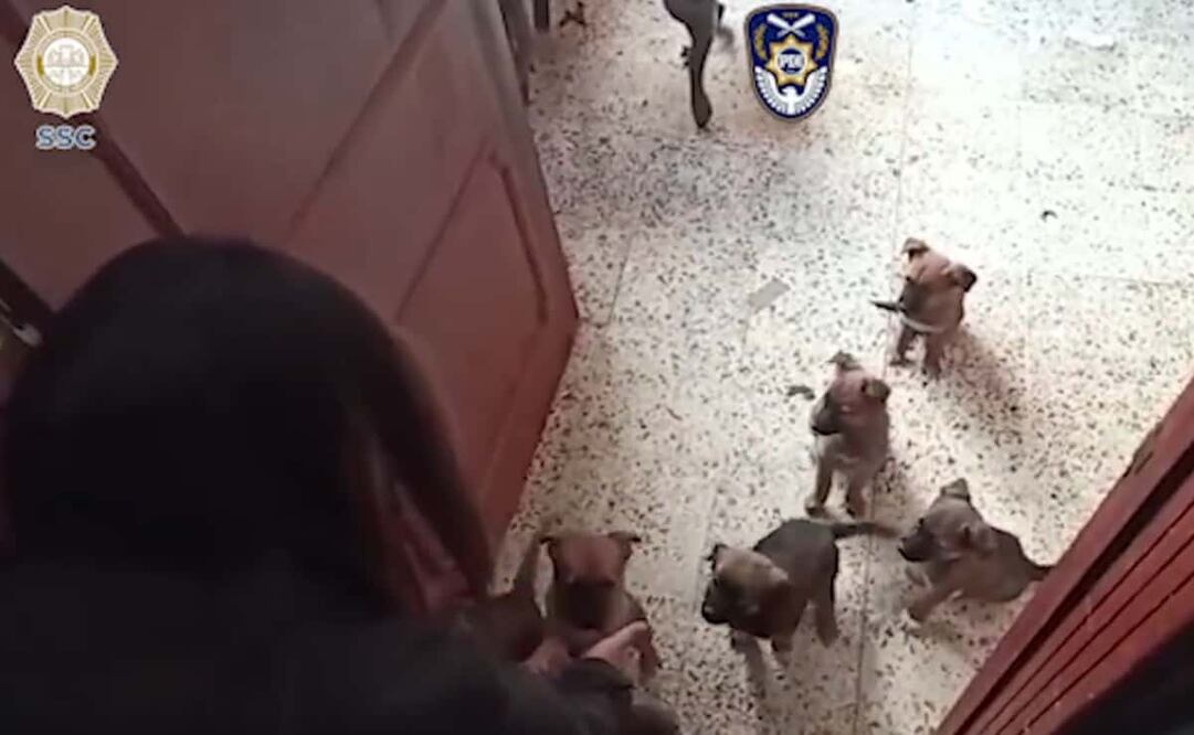 Foto: Tomada de video