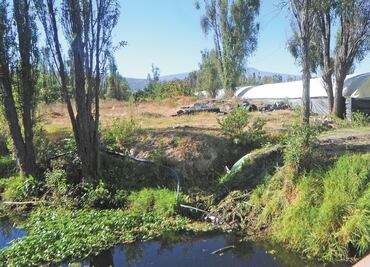 Dan revés a obra en Xochimilco