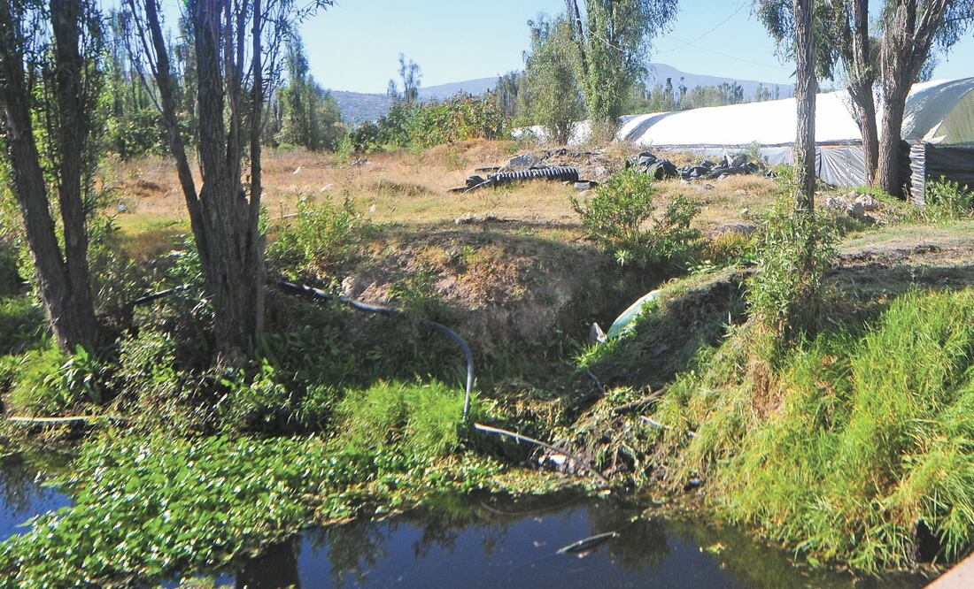 Vecinos aseguran que la zona es área natural protegida. Foto: ARCHIVO EL UNIVERSAL