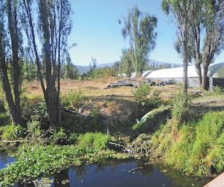Dan revés a obra en Xochimilco
