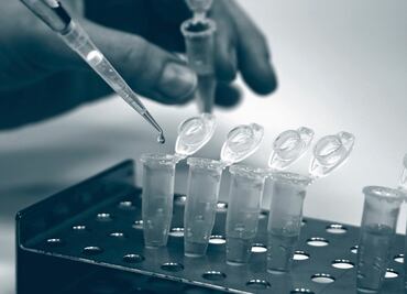 Con pruebas de ADN buscan identificar a fallecidos en choque en la Maxipista Mazatlán-Culiacán