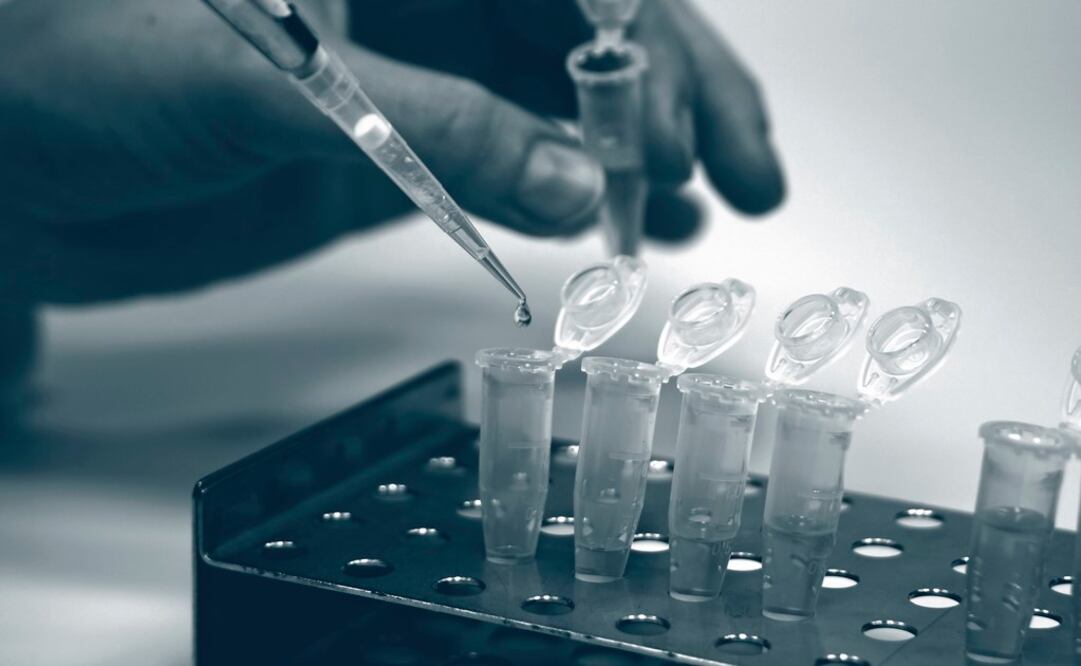 Foto: Archivo EL UNIVERSAL