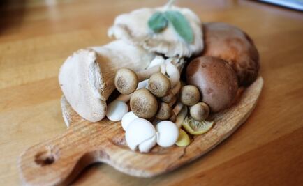 Hongos comestibles y cómo prepararlos