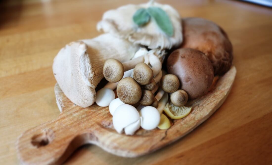 Los hongos medicinales ayudan al cuerpo a adaptarse al estrés, regular el sistema inmunológico y hormonal entre otros beneficios. Foto: Pixabay/Wikimedia Commons