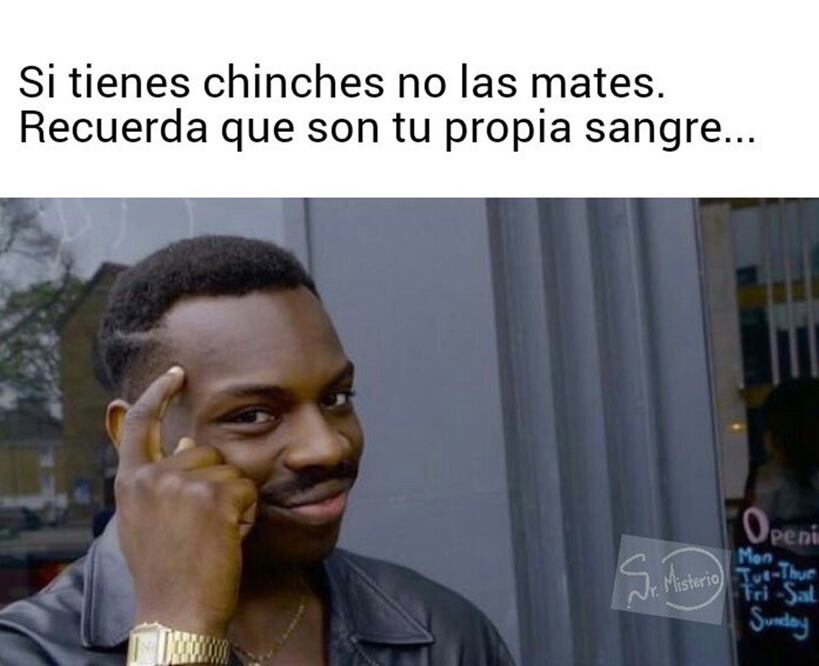 Memes de chinches en la UNAM. Foto: Redes Sociales