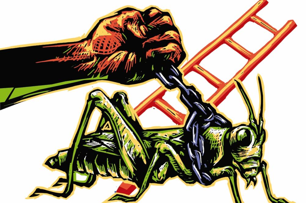 Tiran la operación antichapulín