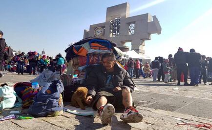 Perrita peregrina desde Amecameca hasta La Villa