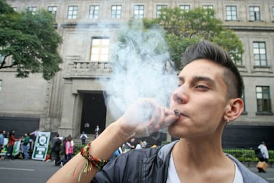 La génesis: un litigio por la marihuana