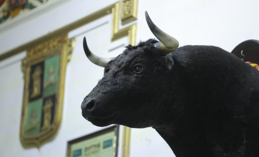 La Ciudad de México, uno de los epicentros de la llamada época dorada de la tauromaquia, que se vivió entre 1940 y 1970. (18/04/2025) Foto: Gabriel Pano | El Universal