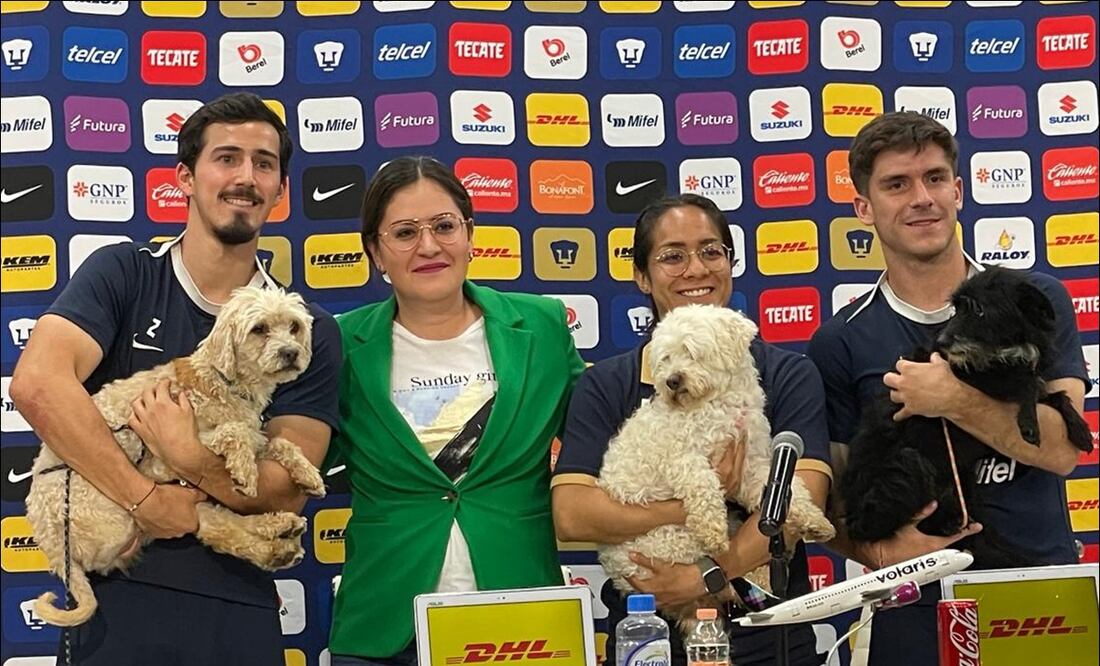 Pumas impulsa la adopción de perritos rescatados con la campaña ““Adopta un Amigo” / FOTO: Miguel Flores - EL UNIVERSAL