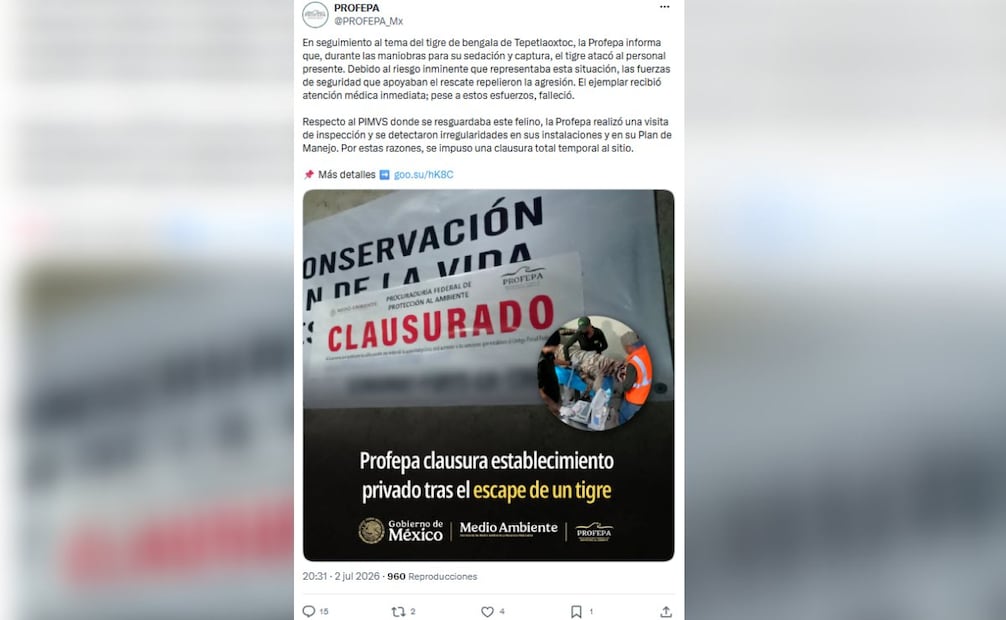 La PROFEPA detalló en redes sociales que "las fuerzas de seguridad que apoyaban el rescate repelieron la agresión", tras un ataque por parte del tigre. Foto: Captura de pantalla (@PROFEPA_Mx)