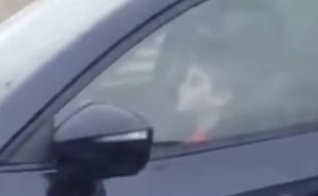 Foto: Tomada de video