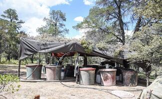 Hallan laboratorio clandestino y campamento criminal en Zacatecas; aseguran miles de litros de precursores químicos