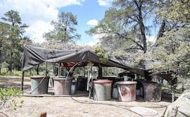 Hallan laboratorio clandestino y campamento criminal en Zacatecas; aseguran miles de litros de precursores químicos