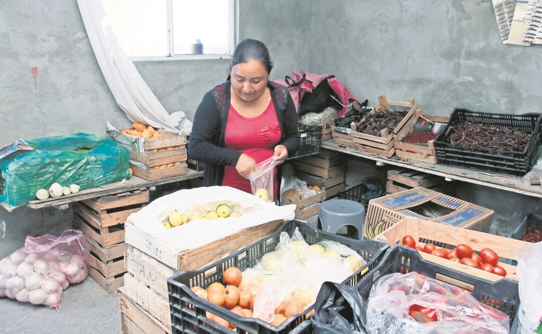 Teresa González continúa vendiendo jitomate, cebolla, mango y manzana, trabaja en el invernadero familiar y en la confección de muñecas que su marido entrega en el mercado de artesanías de La Ciudadela. (Foto: Irvin Olivares / EL UNIVERSAL)