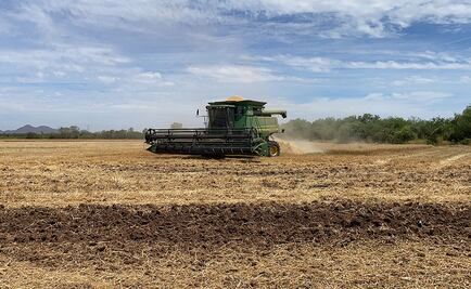 Grupo Bimbo destaca su liderazgo en sustentabilidad en el Día Mundial del Medio Ambiente