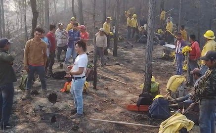 Incendios han arrasado 30 mil hectáreas en Los Chimalapas, Oaxaca: Comisión Estatal Forestal