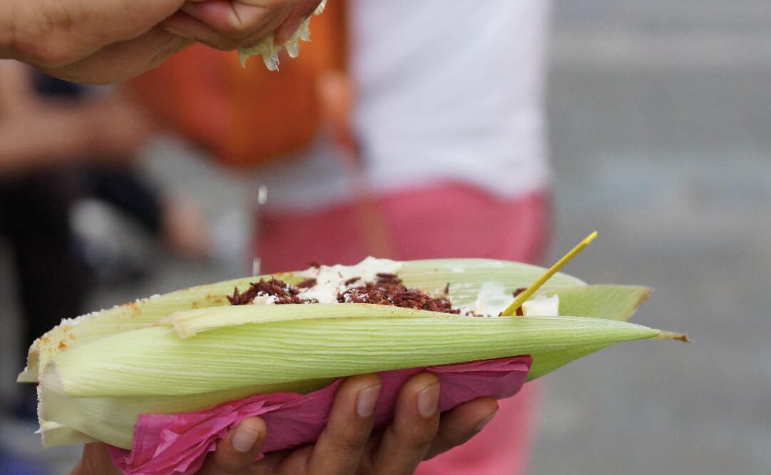 “Elotes preparados” are widely popular in Mexico - Photo: Edwin Hernández/EL UNIVERSAL