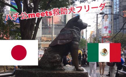 "Frida" y "Hachiko" unen sus historias en un homenaje entre México y Japón