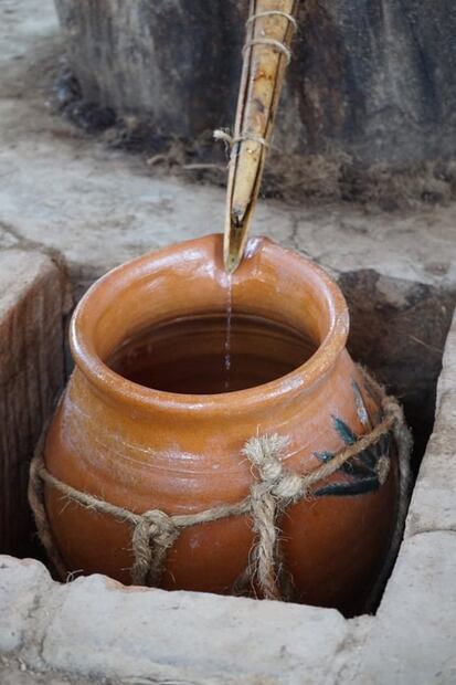 Descubre el mezcal que se elabora en Zapotitlán, Jalisco
