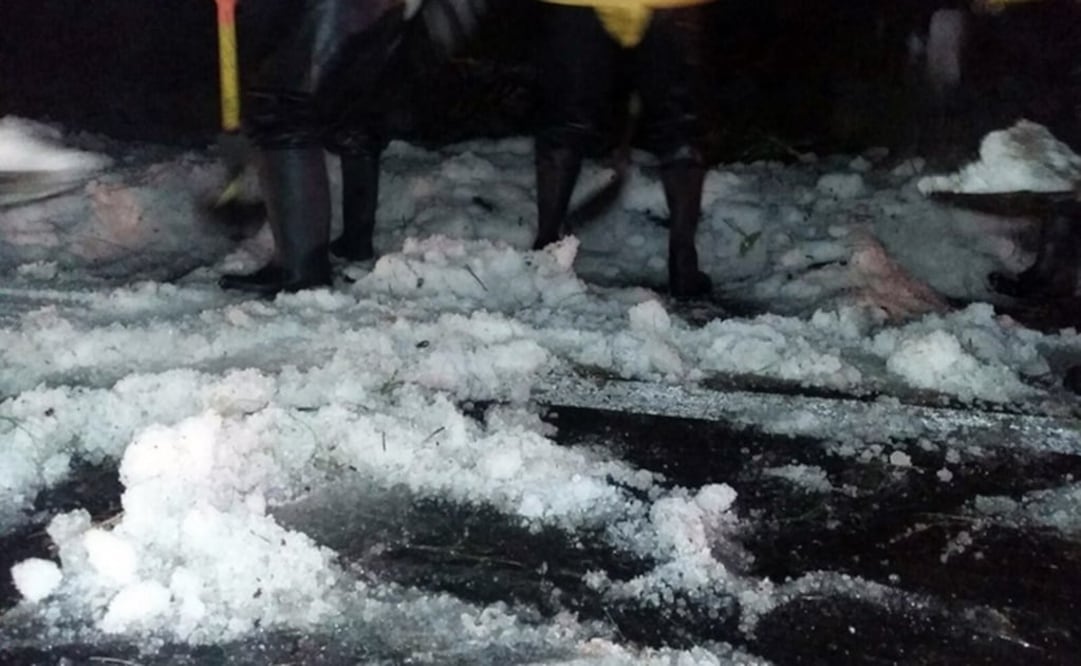 Tomada de @CEECA_Morelos