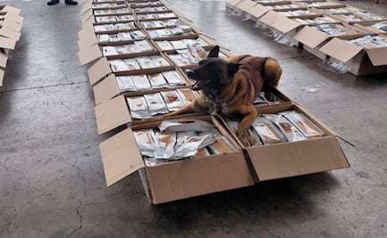Perro detecta cargamento de café con cocaína en el AICM; decomisan más de una tonelada