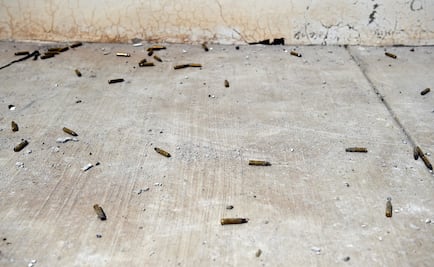 Gunmen were looking for one person when they massacred 27 at a rehab center in Guanajuato