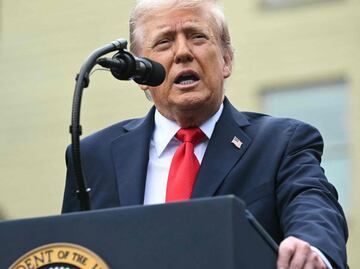 Tras redada migratoria en Hyundai, Trump dice que empresas extranjeras pueden traer empleados por "un tiempo"