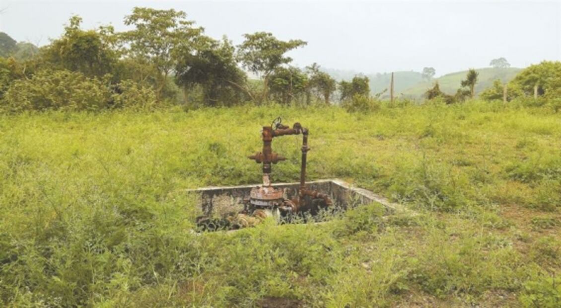 Las otras “cocinas” del crimen: disuelven los cuerpos de sus víctimas