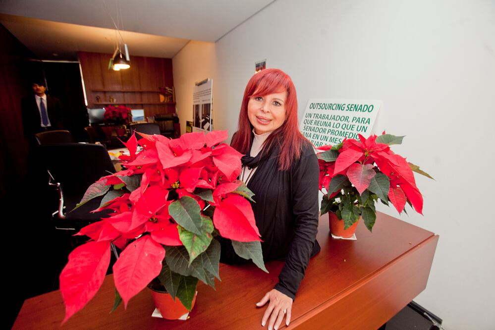 Fotografía: Yadín Xolalpa. Archivo/ EL UNIVERSAL