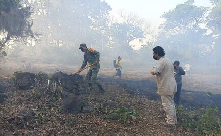 Suman 20 incendios forestales activos en Veracruz; protestan para exigir su combate