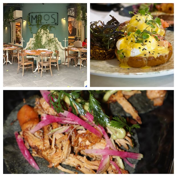 Milo's Bistro ofrece una experiencia gastronómica que fusiona la cocina mediterránea con toques contemporáneos en el corazón de la Condesa. Fotos: cortesía Milo's Bistro.