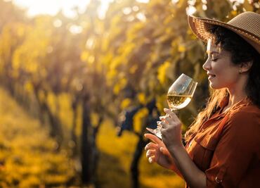 Vendimia en Guanajuato: 10 viñedos que visitar durante las fiestas