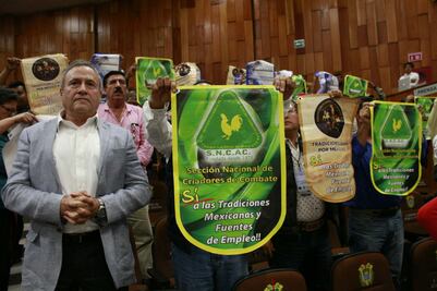 Despenaliza Veracruz peleas de gallos y vaquilladas