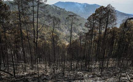 Controlan al 100% el incendio forestal en Tlaxcala; llamas afectaron más de 700 hectáreas