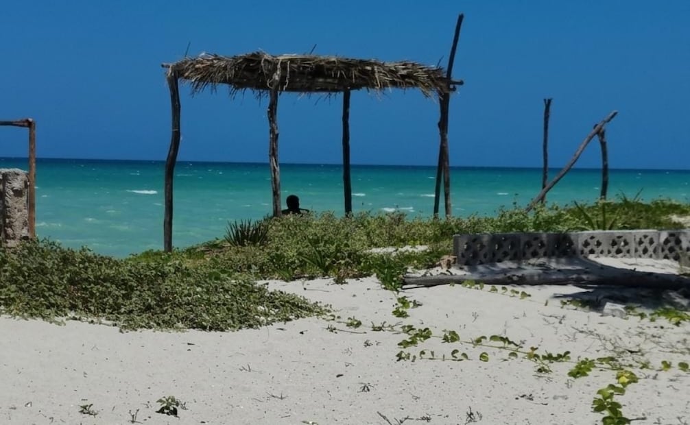 Reportan nuevos daños a dunas costeras y denuncian retiro de manglar. Foto: especial
