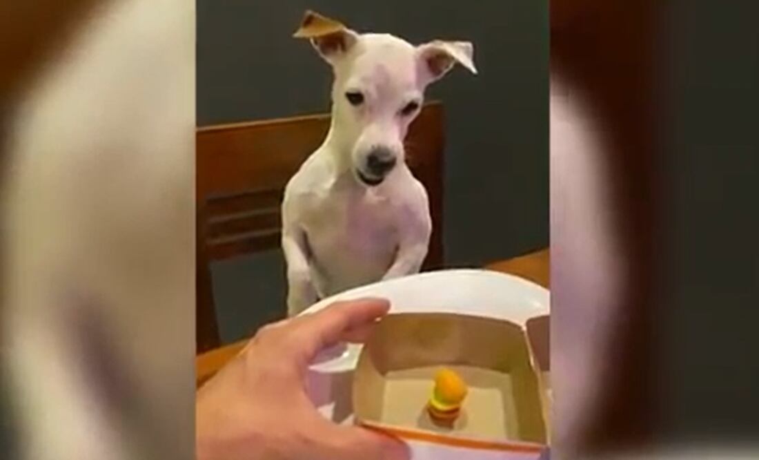 Foto: Captura de video