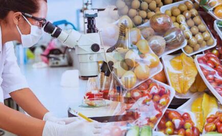 Sustancia usada para envolver alimentos podría generar cáncer, alerta UNAM