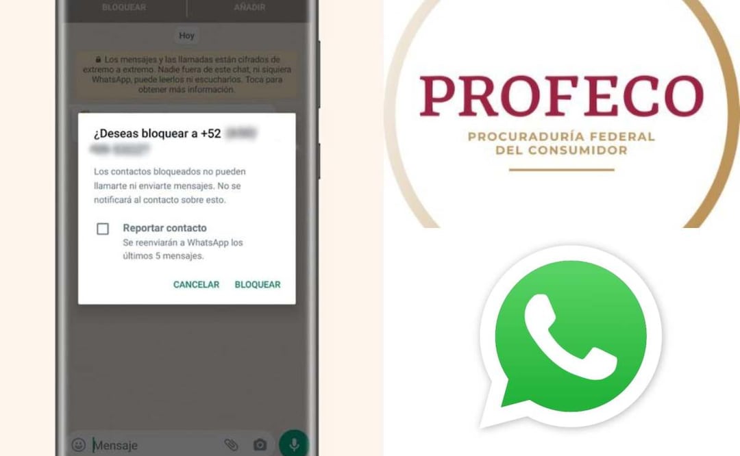 Profeco y Meta lanzan segunda etapa de campaña “Redes Seguras”