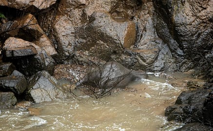 Elefantes salvajes mueren tras resbalar de una cascada en Tailandia 