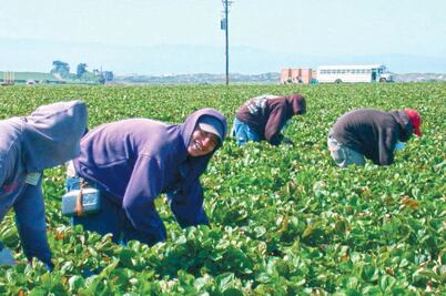 Migrantes asesorarán a gobierno de California