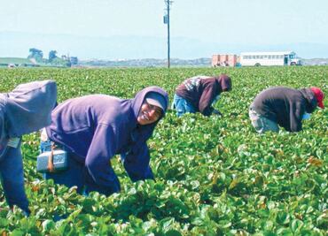 Migrantes asesorarán a gobierno de California
