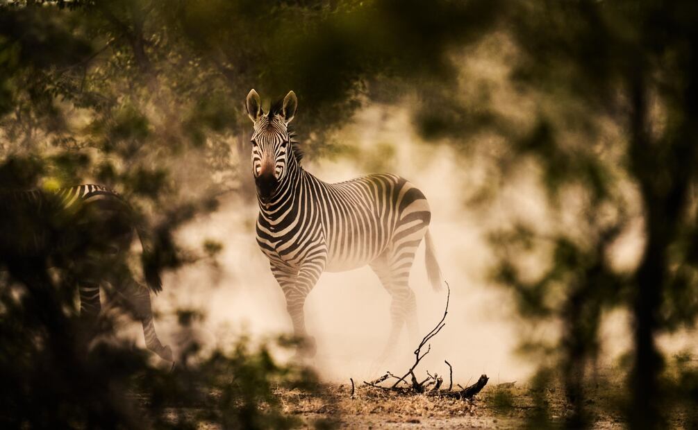 Imagen: Alberto Alcocer