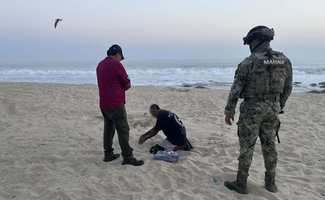 Elementos de la Secretaría de Marina recuperaron dos mil huevos de tortuga golfina, en las costas de Oaxaca. Foto: Semar