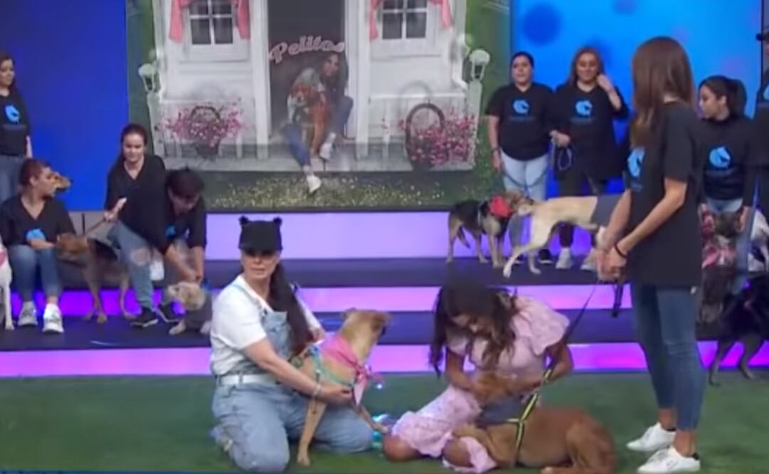 Yadhira Carrillo y Galilea Montijo. Foto: Captura