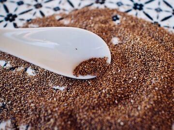 ¿Cuál es el cereal mexicano que es mejor que el trigo?