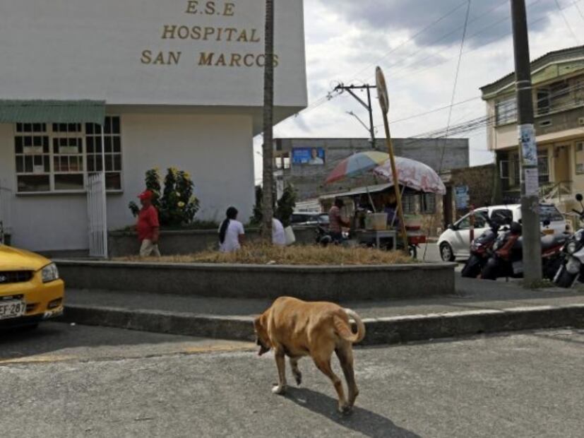 “Marcos”, el perro de Colombia que espera a su amo en hospital desde el 2017